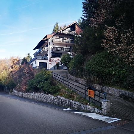 Haus Schwarzwaldblick Villa Hornberg Buitenkant foto